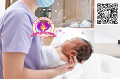 鲜胚和冻胚移植哪个成功率更高？