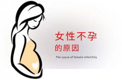 爱之晶：女性不孕症比较常见的因素有哪些?