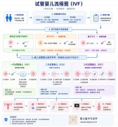 一文看懂：试管婴儿完整流程（附供卵/供精方案）